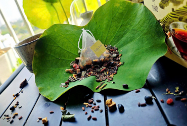 Vì sao TALU chọn 9 nguyên liệu cho một tách trà?
