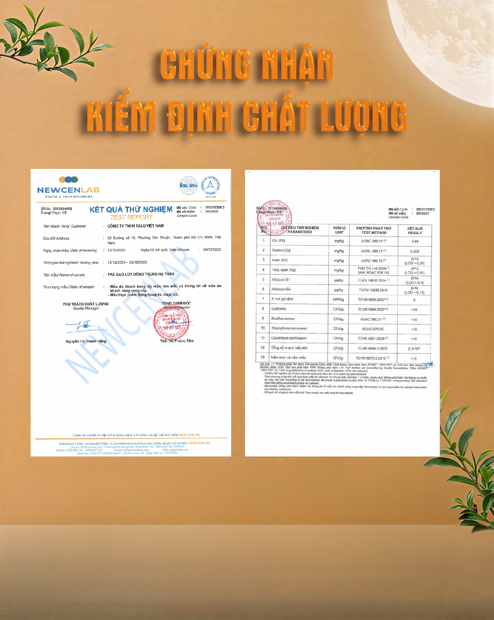Combo 2 hộp Trà gạo lứt Đông trùng hạ thảo Talu Tea - Hộp 450G